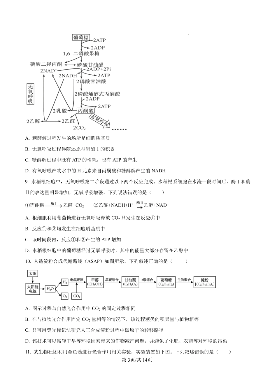 生物哈尔滨市第六中学校2026-2027年高三学年阶段性测试(一)(9.3-9.4).pdf_第3页