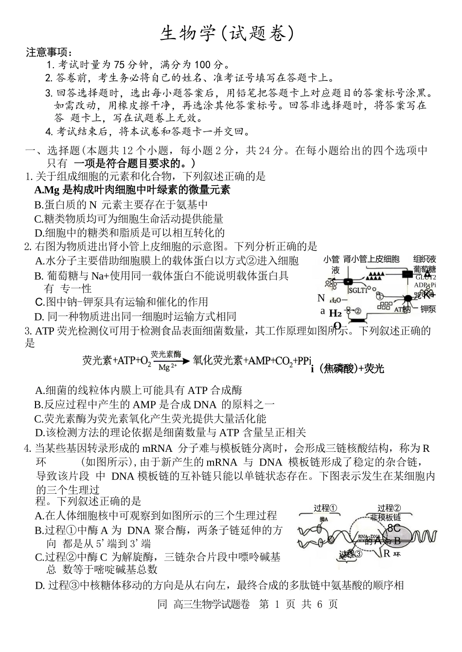 生物湖南益阳市2027届高三年级9月教学质量监测(9.4-9.5).docx_第1页