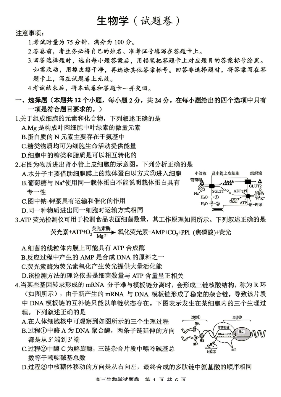 生物湖南益阳市2027届高三年级9月教学质量监测(9.4-9.5).pdf_第1页