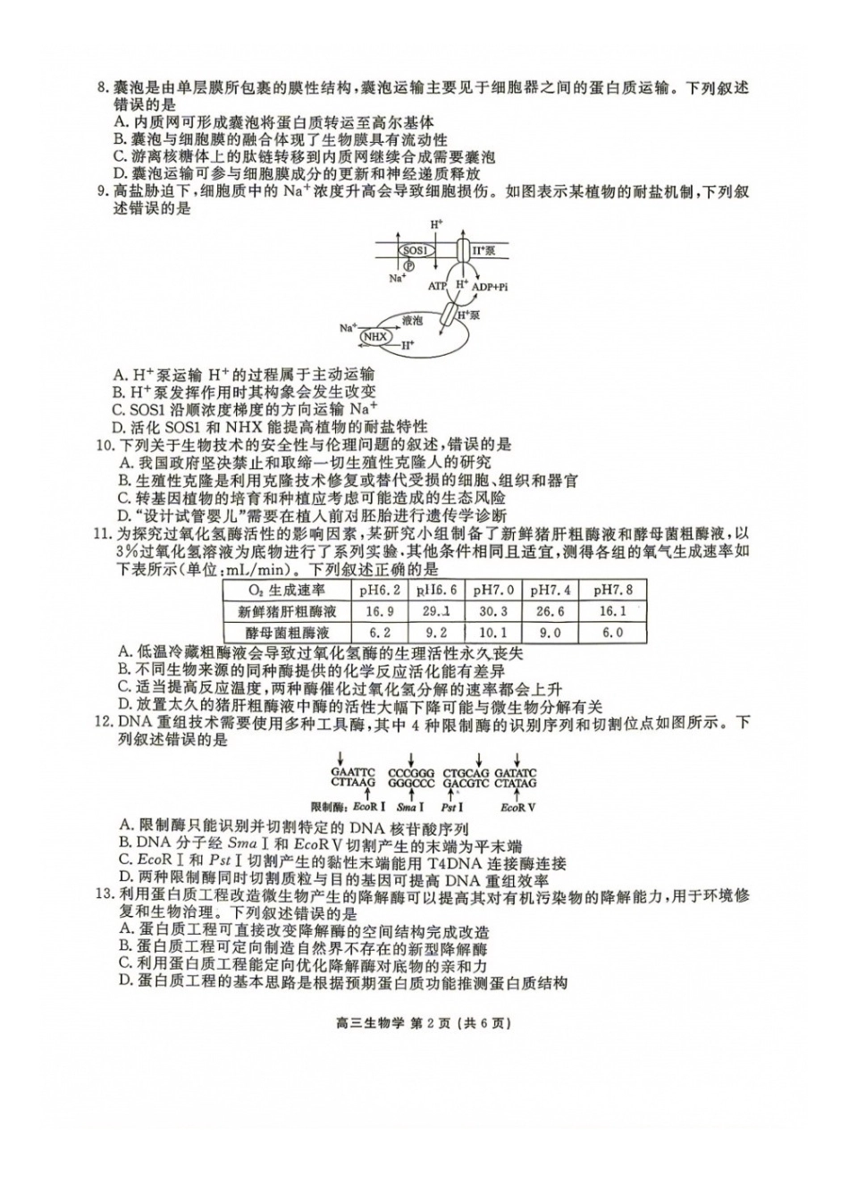 生物辽宁点石(联盟)联考2026年9月202届高三年级期初学情调研(9.2-9.3)(1).docx_第2页