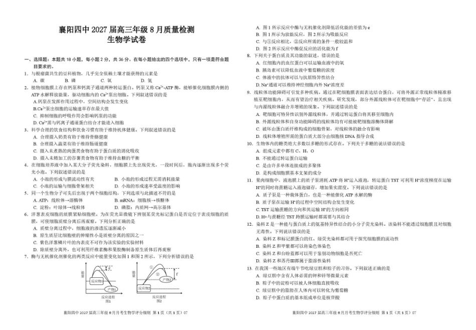 襄阳四中2027届高三年级8月质量检测生物.pdf_第1页