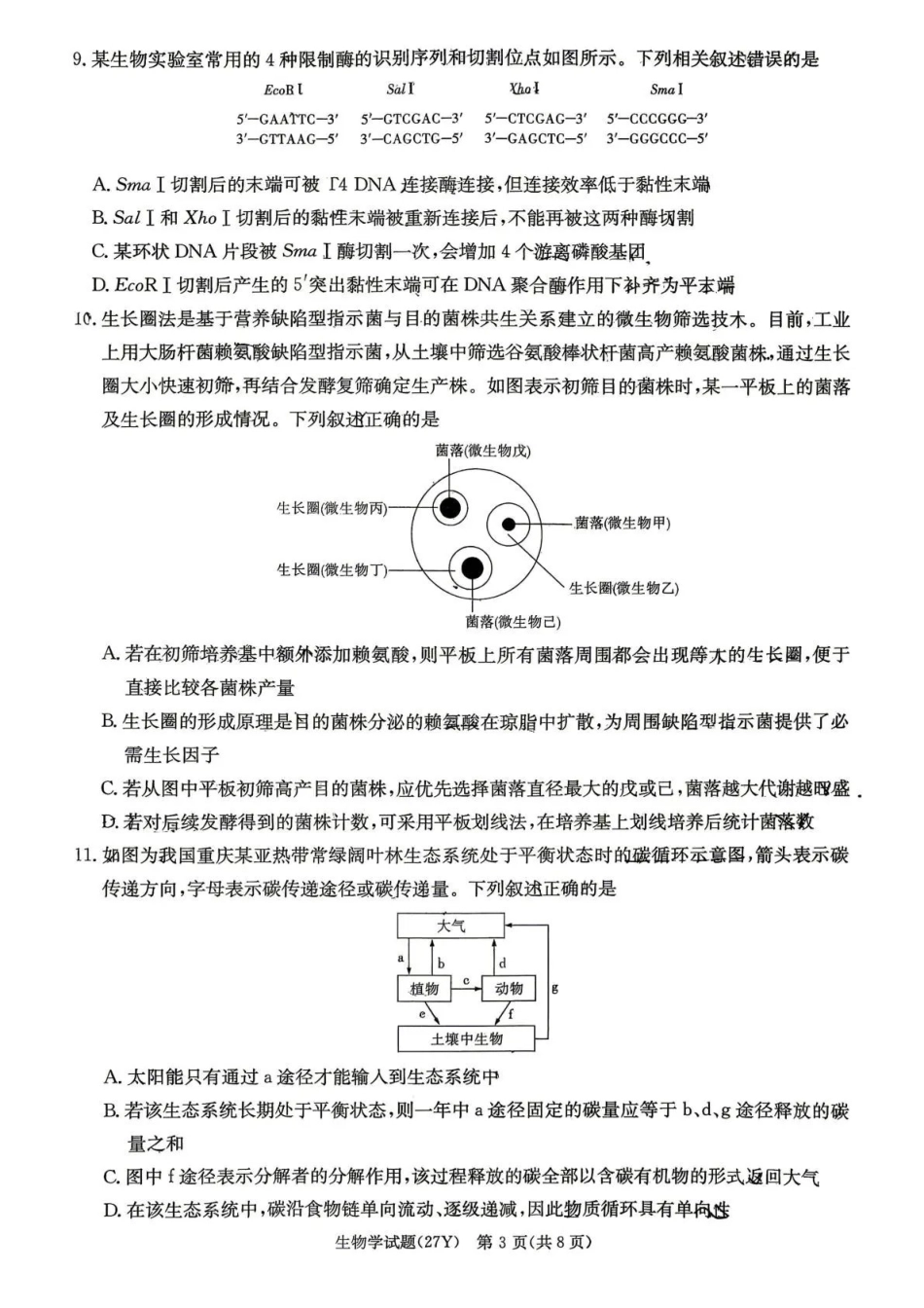 炎德英才名校联考2027届高三上学期开学考试生物(1).pdf_第3页