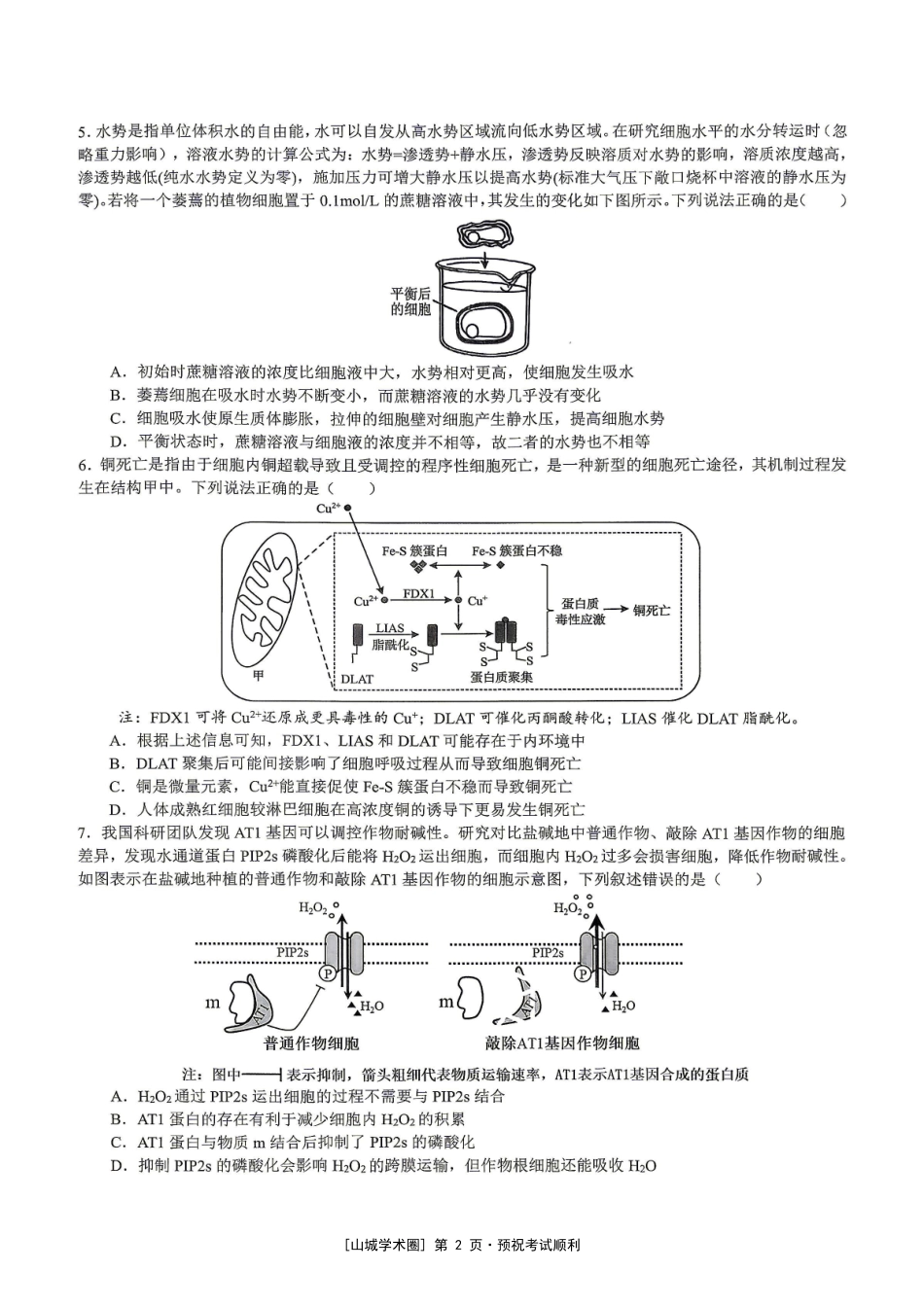重庆市育才中学校高2027届高三(上)质量检测(一)生物.pdf_第2页