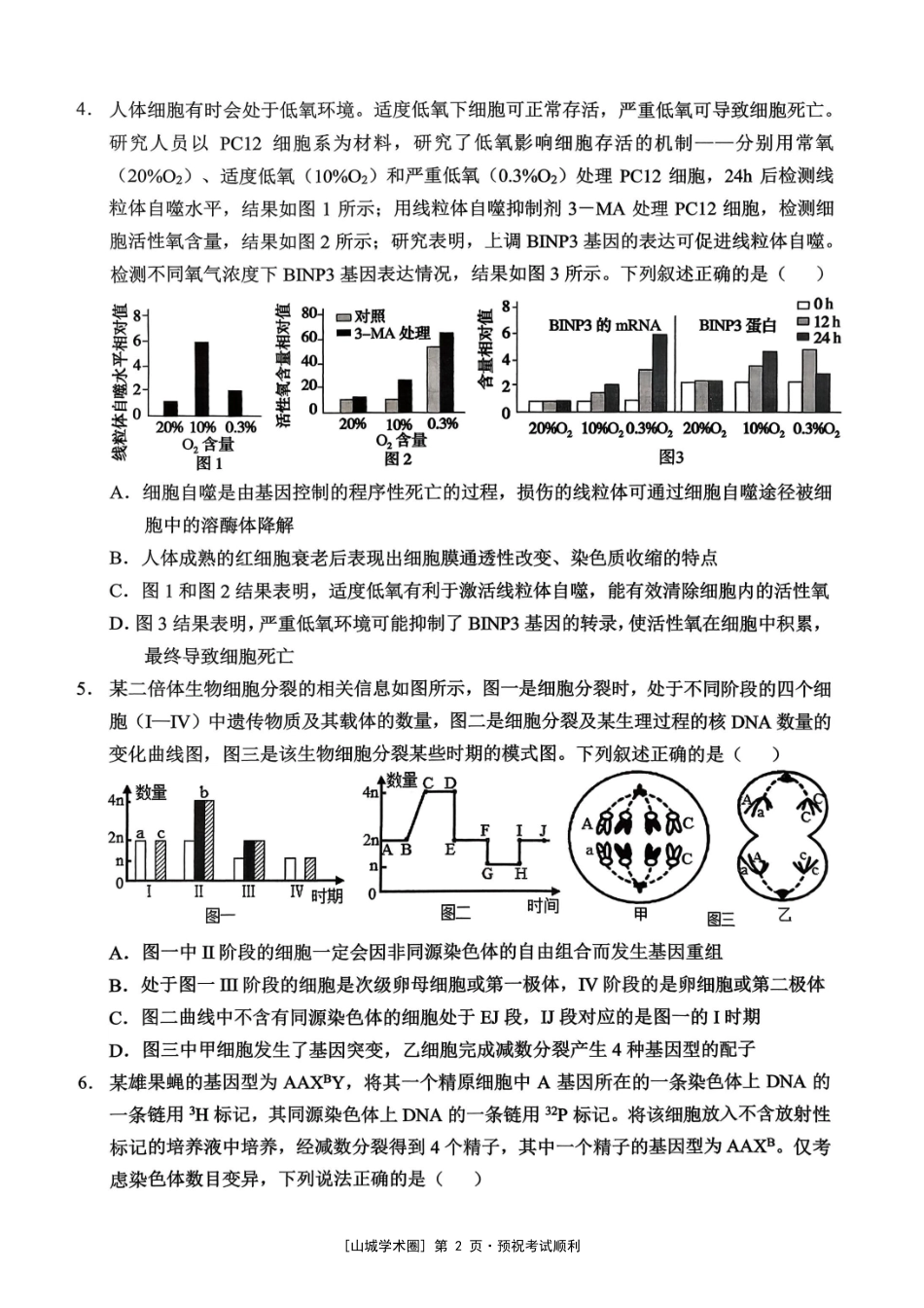 重庆西南大学附中高2027届高三上9月月考生物.pdf_第2页