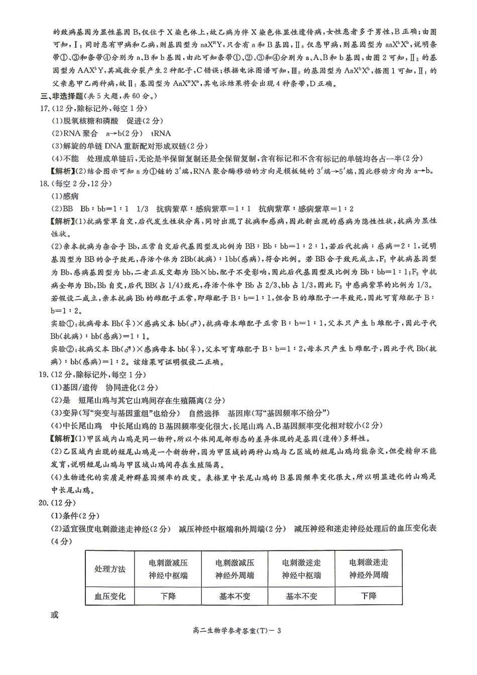 26附中高二上开学生物答案.pdf_第3页