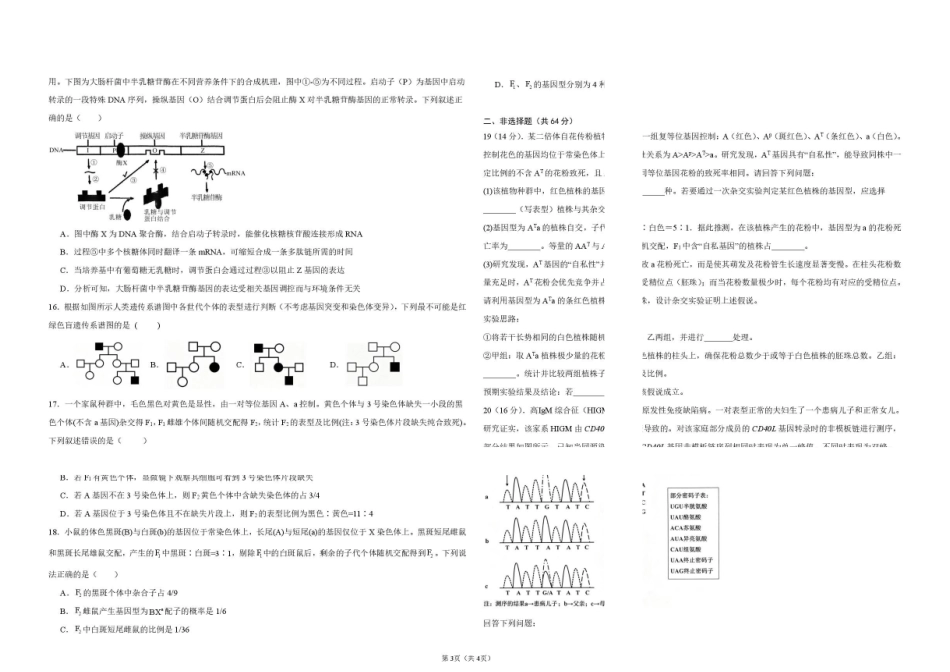 2025级9月收心考生物试卷.pdf_第3页