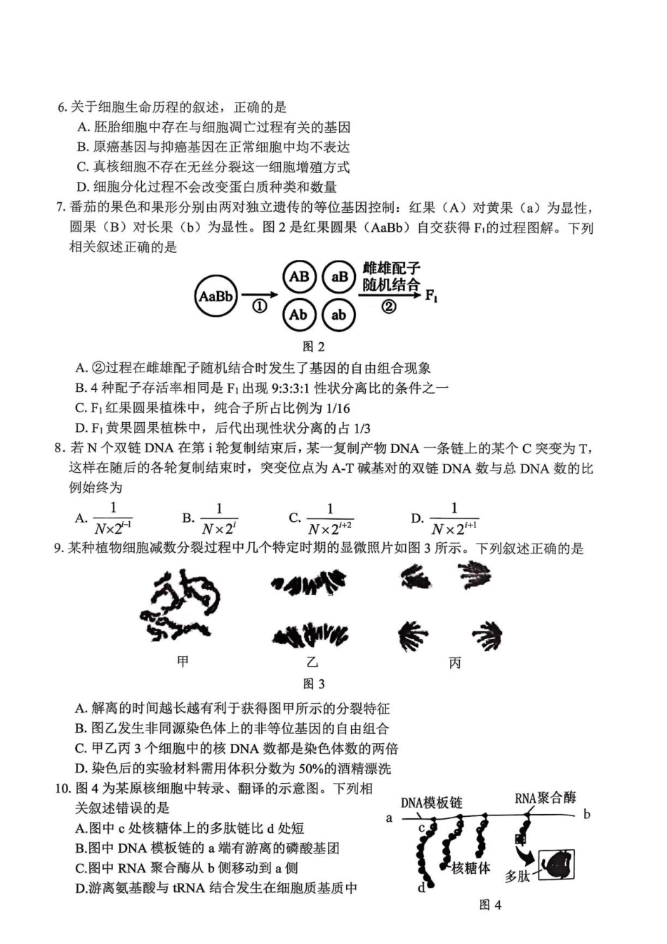 2027届深圳市罗湖区一模高三生物试卷.pdf_第2页