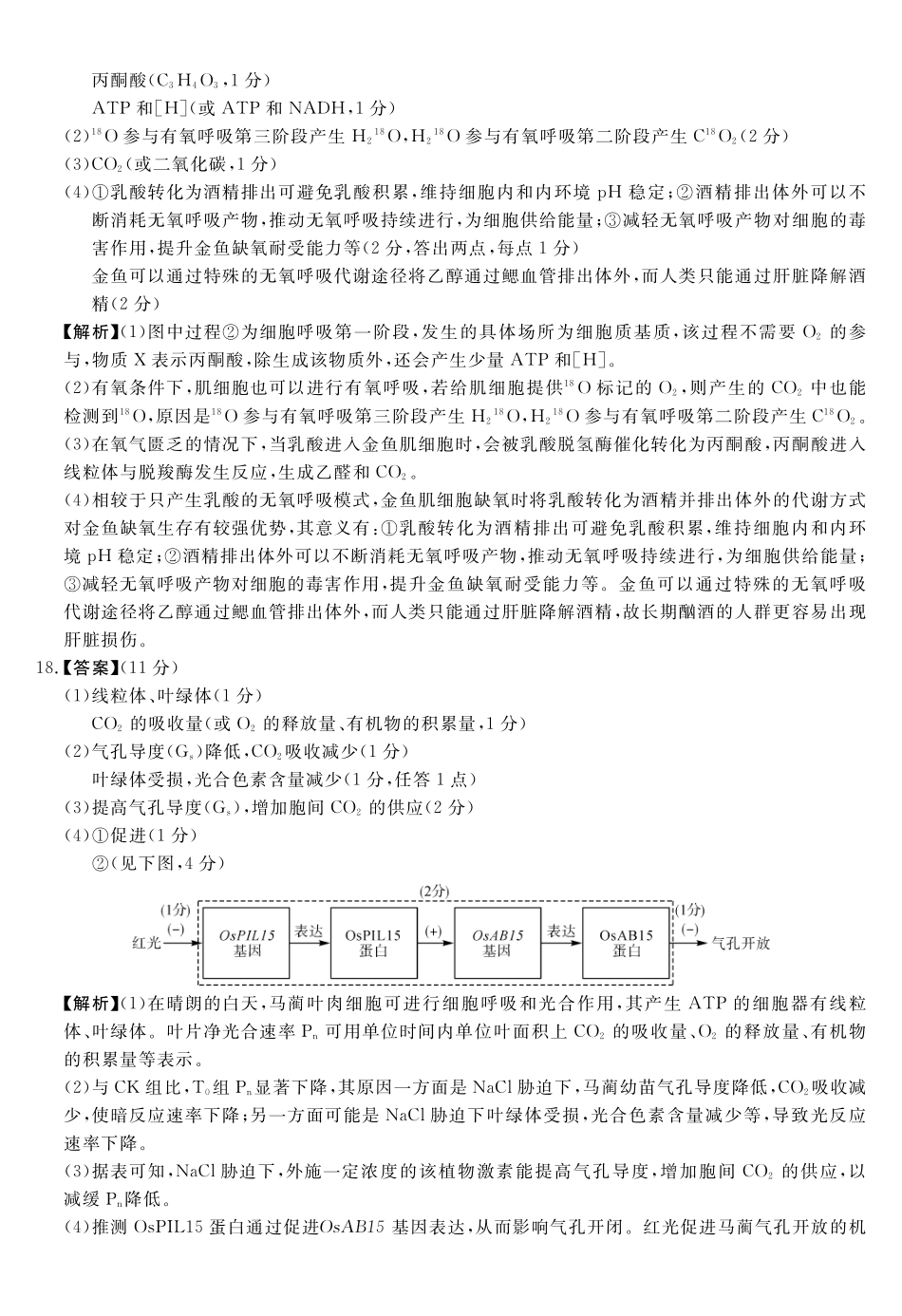 安徽华师联盟2027届高三9月份开学质量检测试题生物答案.pdf_第3页