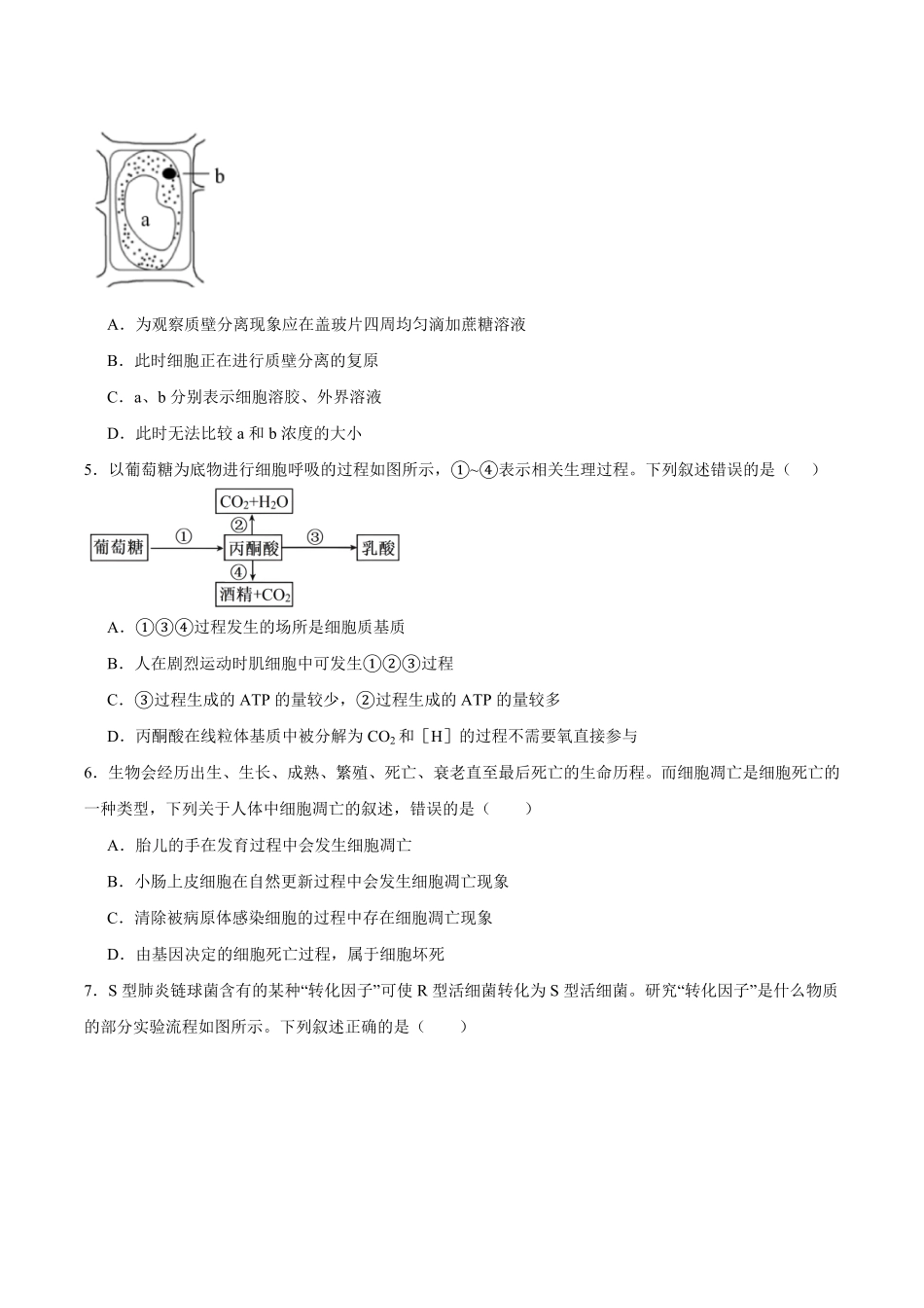 湖南湘潭市第一中学2026-2027学年高二上学期9月开学检测生物试卷(含答案).pdf_第2页
