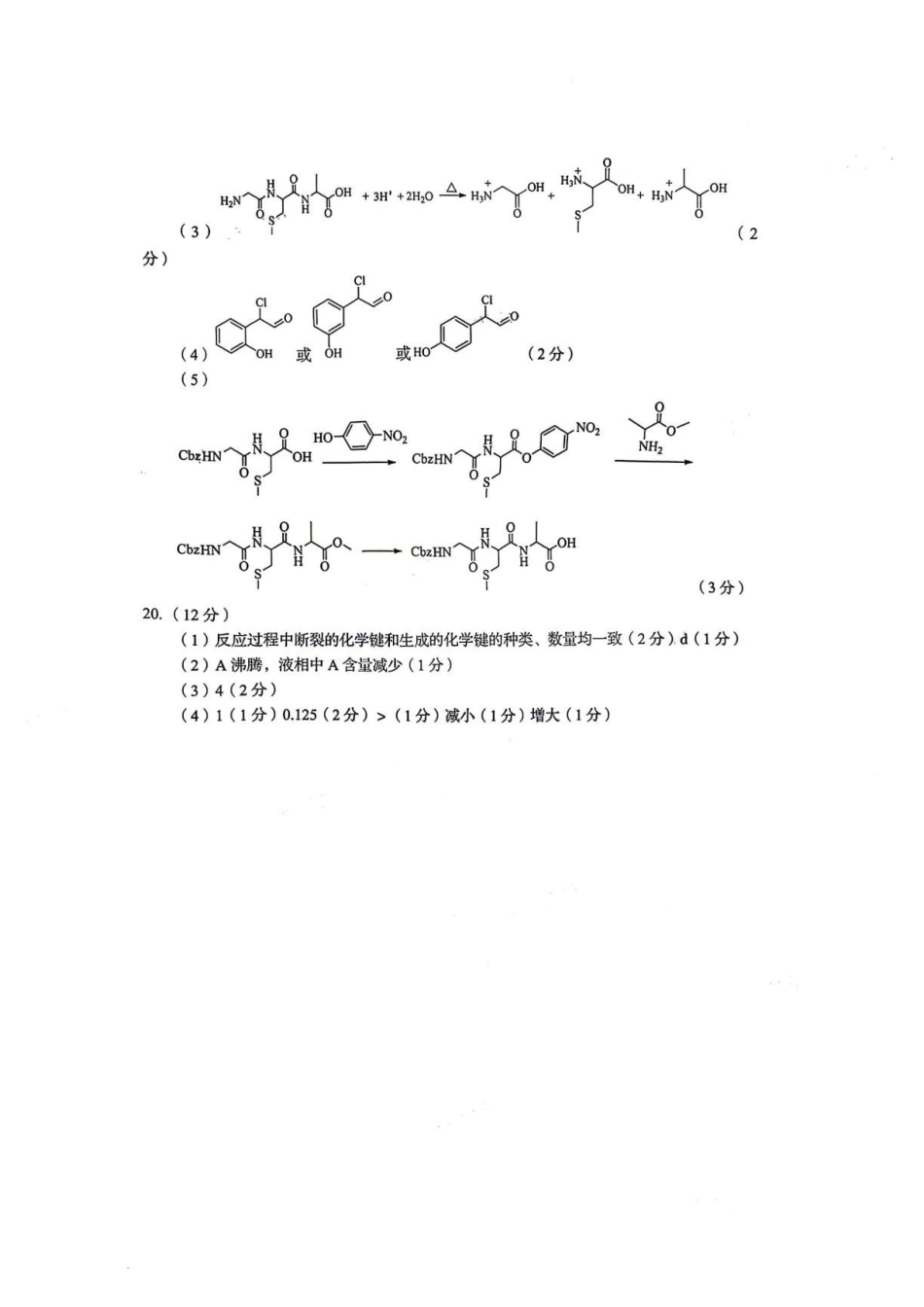 山东青岛市2027届高三上学期期初调研检测化学答案.pdf_第2页
