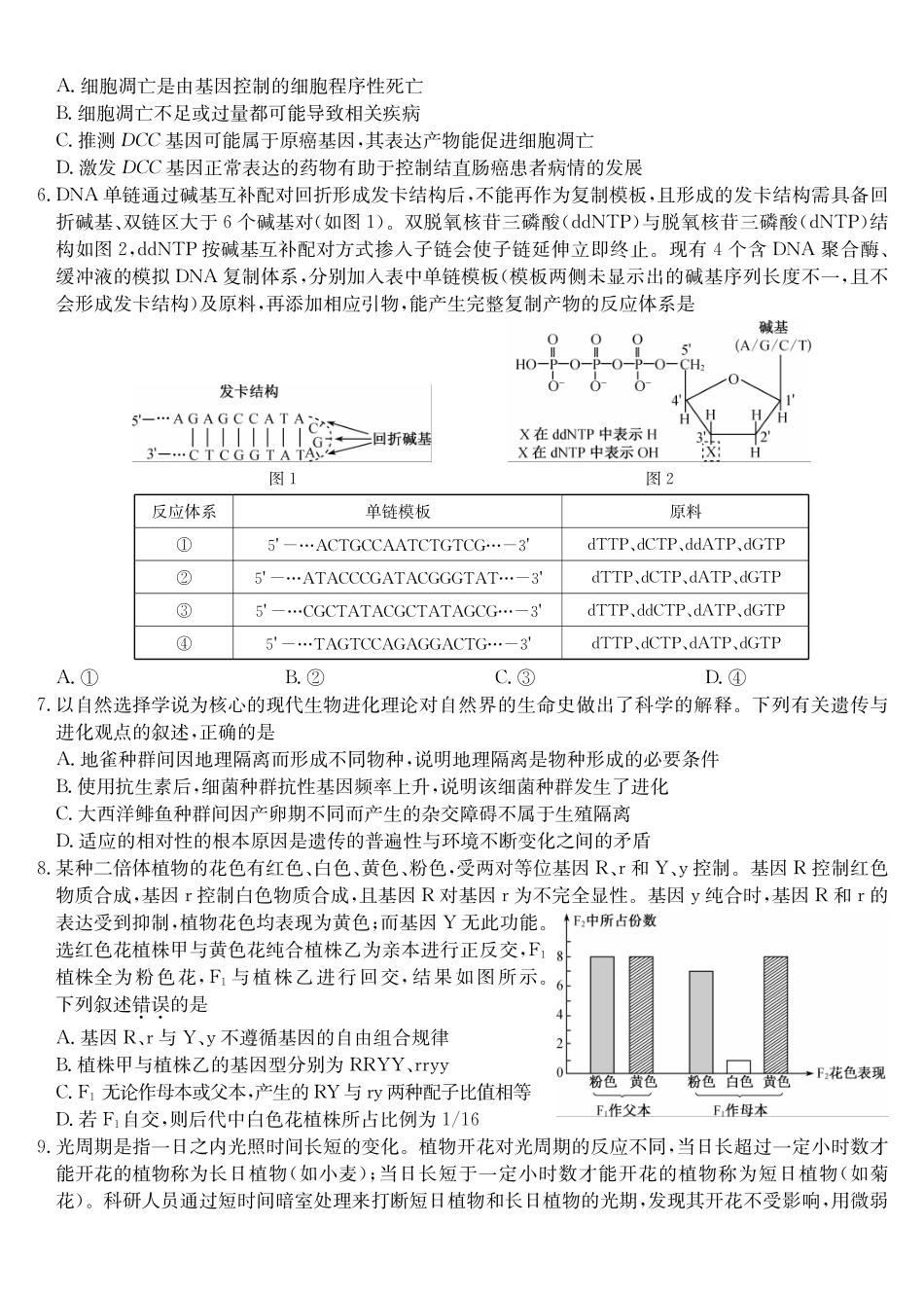 生物(下标9-1WG)【补偿练习】湖北九师联盟2027届高三年级9月考试(下标9-1)(9.3-9.4).pdf_第2页