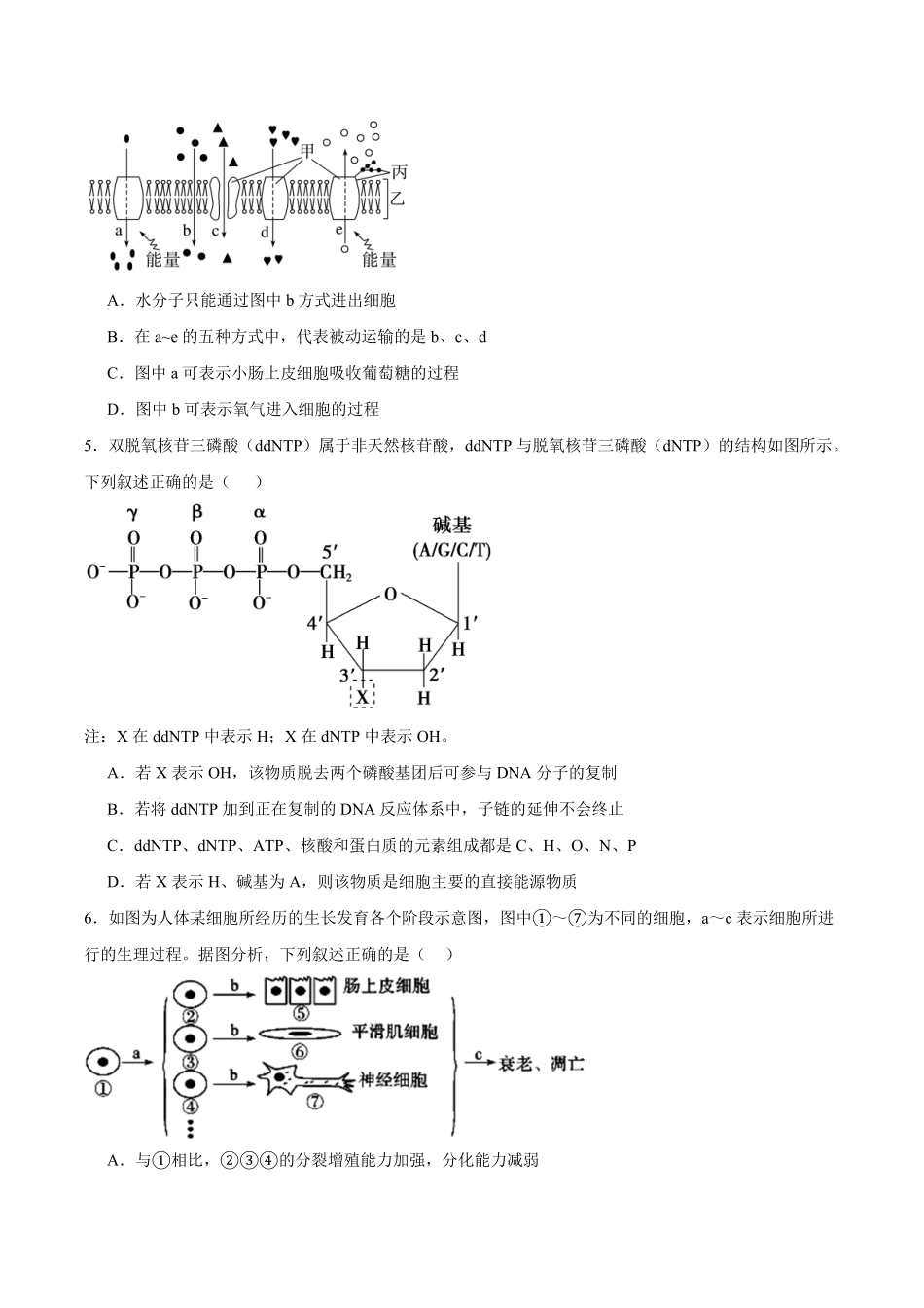 生物_湖南长沙大学附属中学2026-2027学年高二上学期开学考试_试卷+答案.pdf_第2页