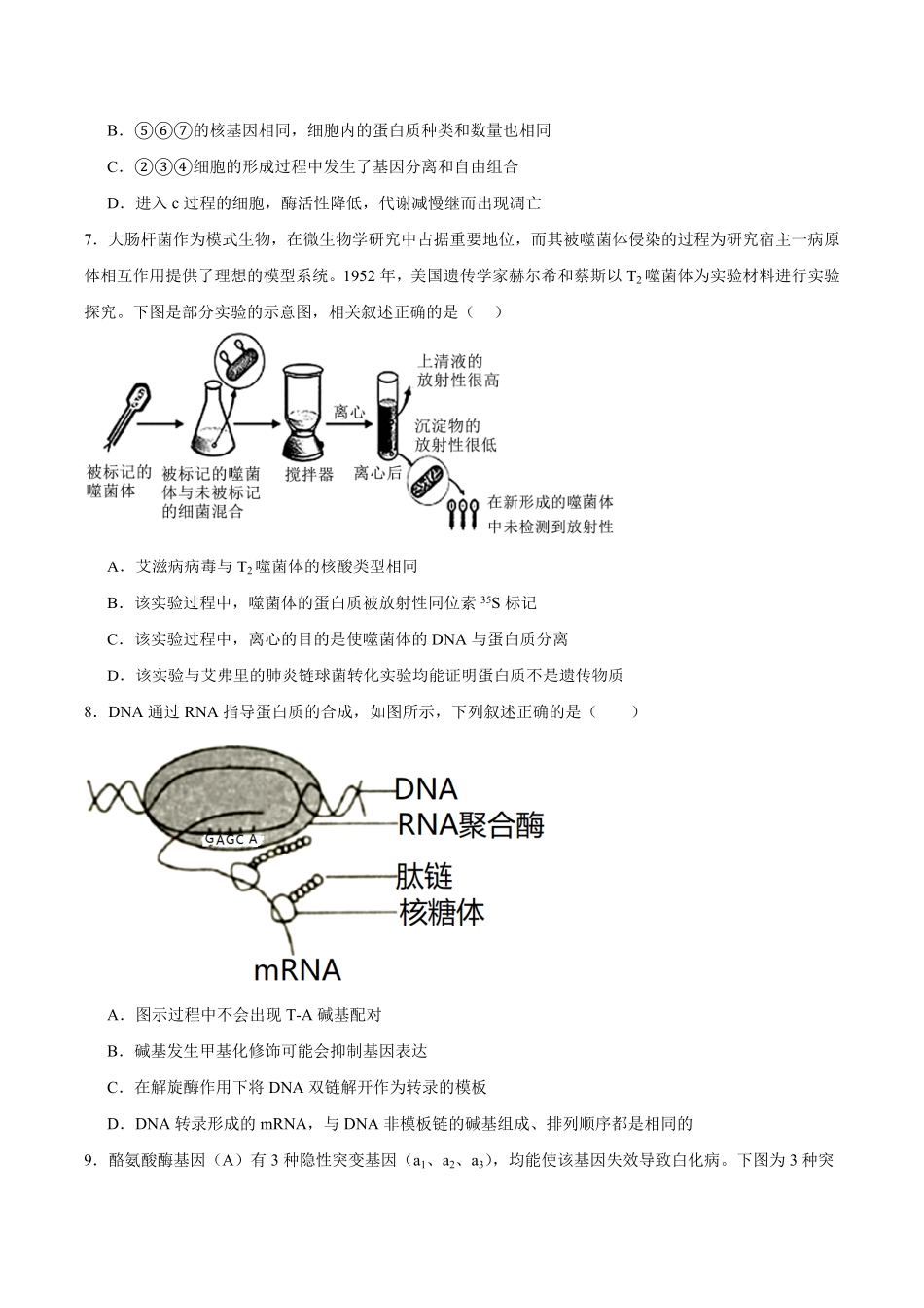 生物_湖南长沙大学附属中学2026-2027学年高二上学期开学考试_试卷+答案.pdf_第3页