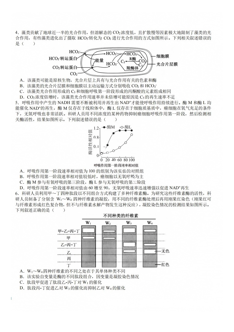 生物+答案四川成都市树德中学(九校)高2024级(2027届)高三年级上开学考试(9.14-9.15).docx_第2页