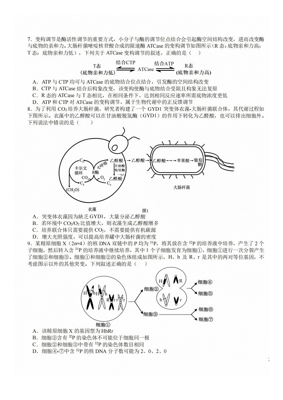 生物+答案四川成都市树德中学(九校)高2024级(2027届)高三年级上开学考试(9.14-9.15).docx_第3页