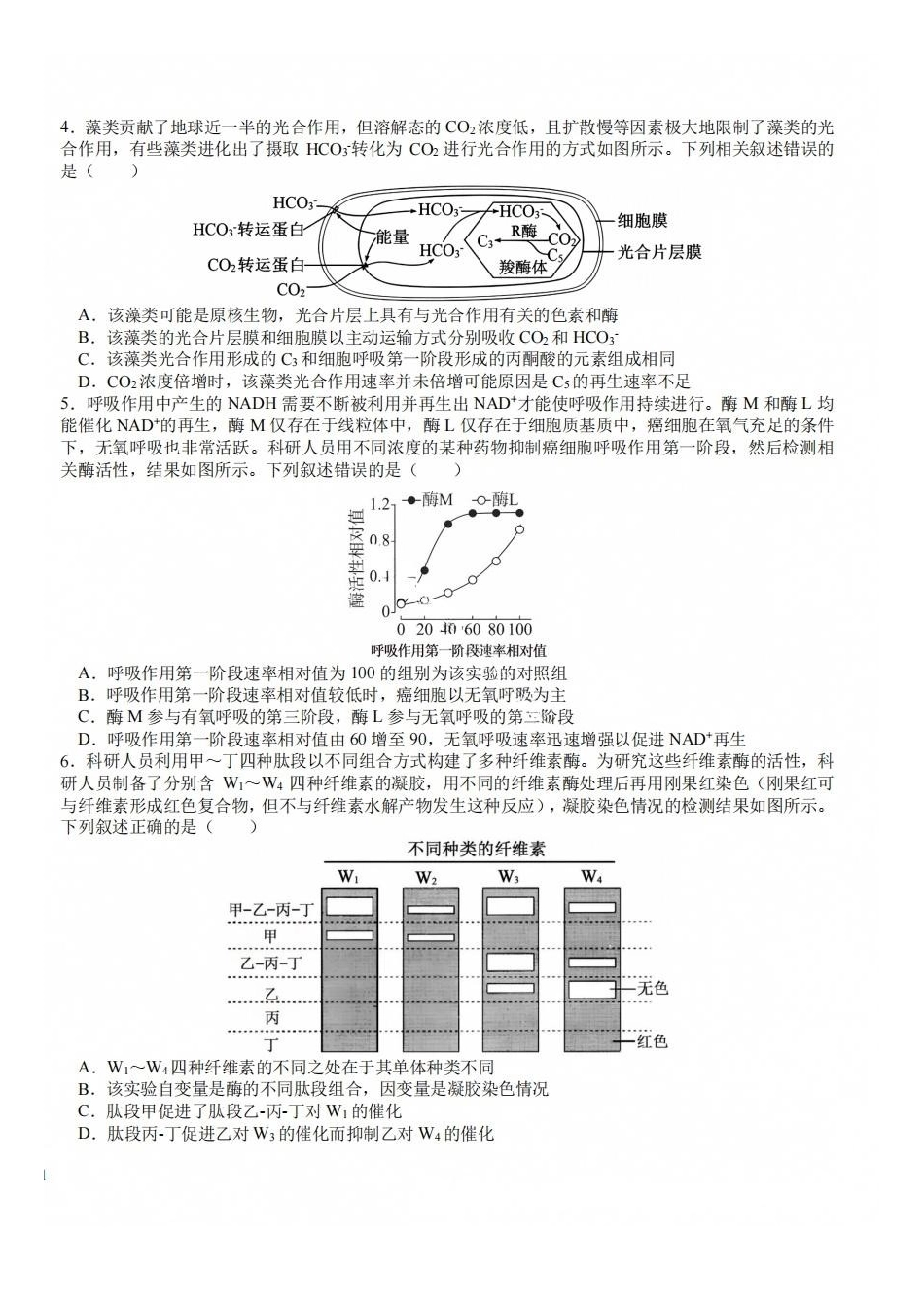 生物+答案四川成都市树德中学(九校)高2024级(2027届)高三年级上开学考试(9.14-9.15).pdf_第2页