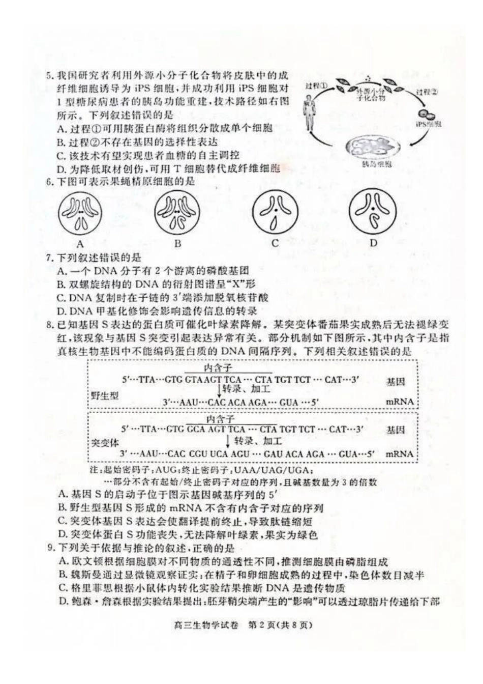 生物河北唐山市2026-2027学年度高三年级9月摸底演练(9.16-9.17).docx_第2页