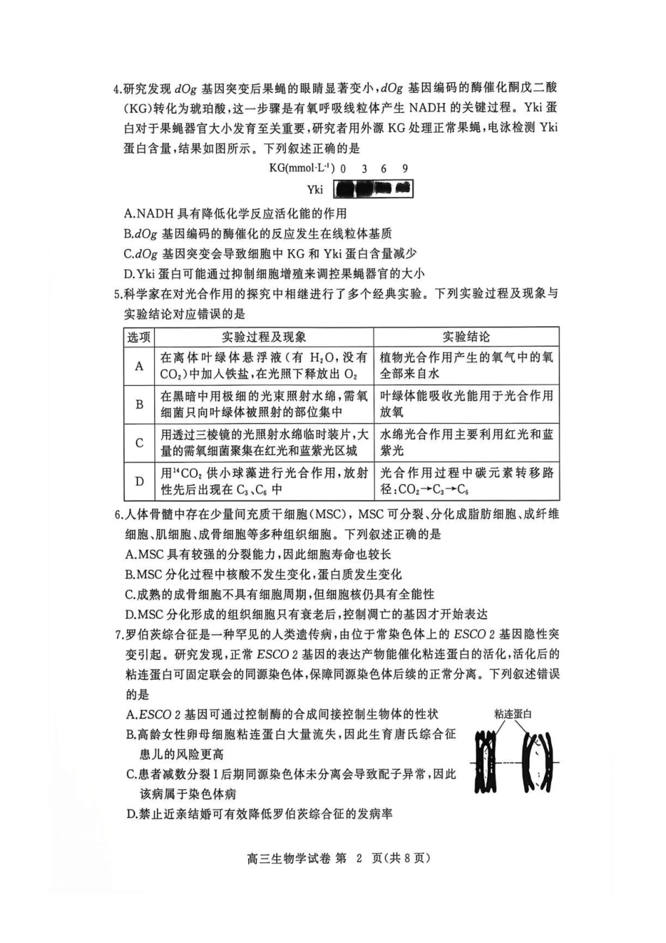 生物湖北黄冈市、十堰市2026年秋季高三年级9月供题联考(黄冈九调)(9.15-9.16).pdf_第2页