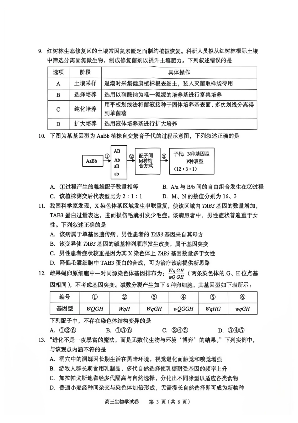 生物湖北黄石市2026年全市高三年级（9月）质量监测(黄石九调)(9.15-9.16).pdf_第3页