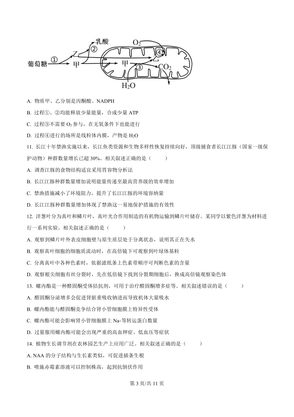 生物江苏南通市海安市2027届高三年级上学期期初测试(9.17-9.18).pdf_第3页