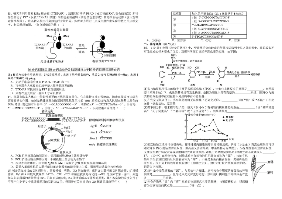 树德中学2027届高三上学期开学考试生物+答案.pdf_第3页