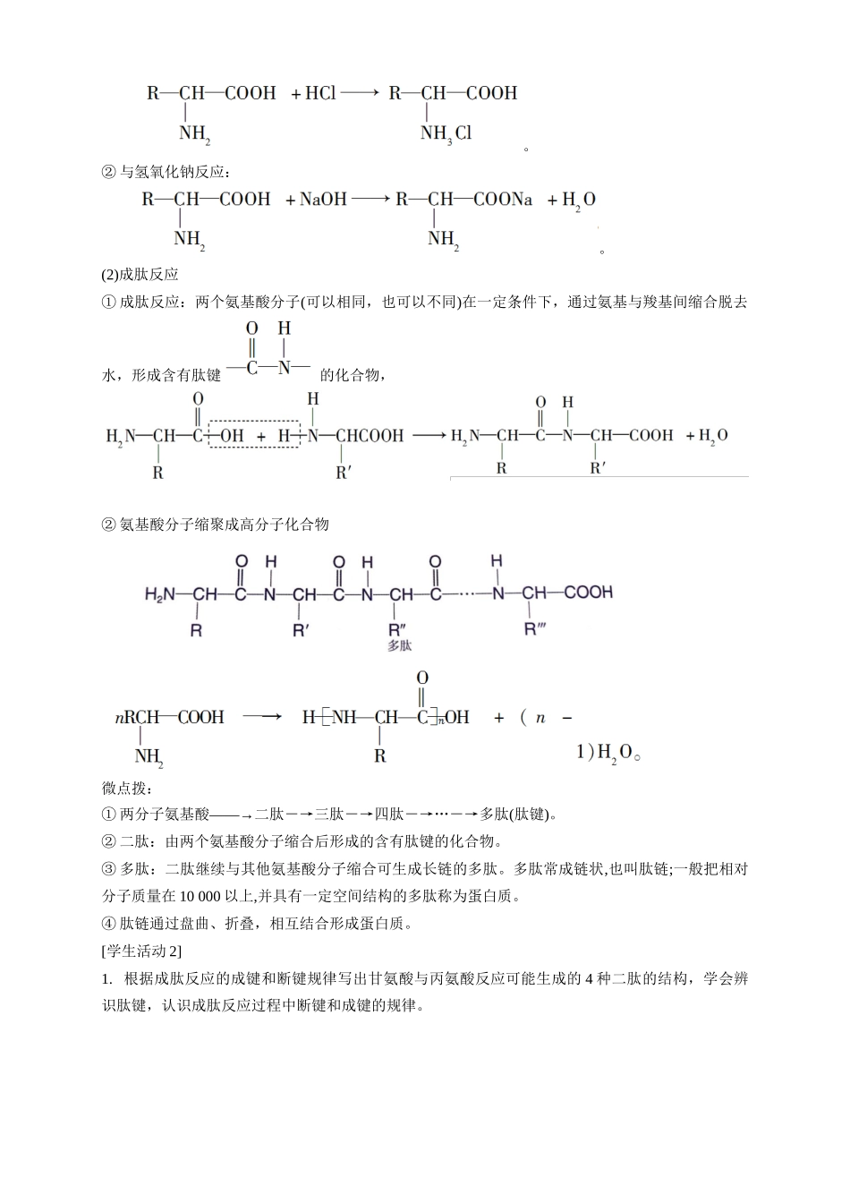 4.2.1氨基酸.docx_第3页
