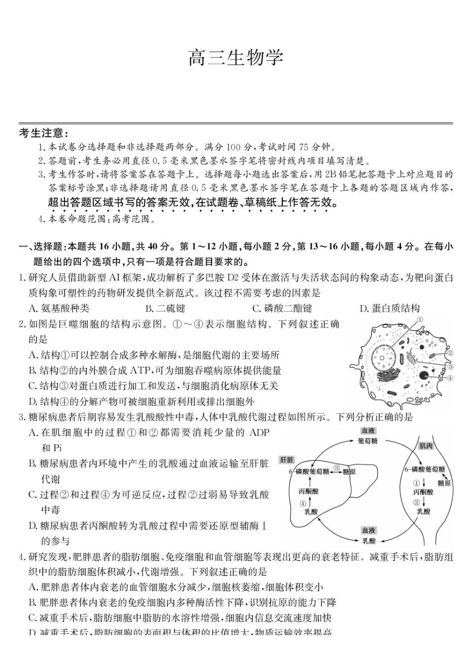 生物(下标9-2NN)广西壮族自治区九师联盟2026-2027学年高三上学期10月阶段学业评估检测(下标9-2NN)(10.5-10.6).pdf_第1页