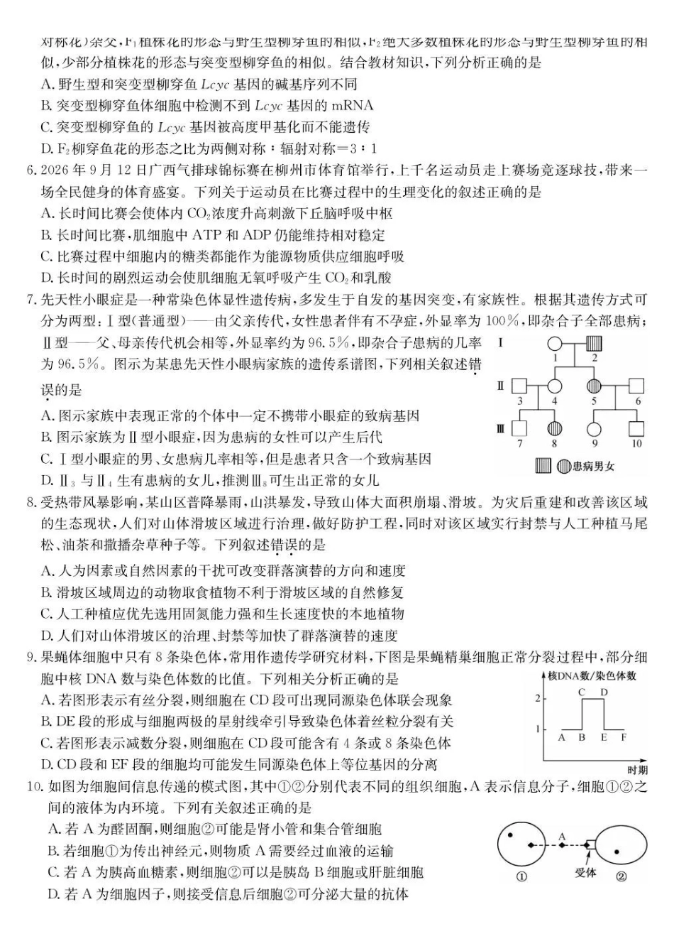 生物(下标9-2NN)广西壮族自治区九师联盟2026-2027学年高三上学期10月阶段学业评估检测(下标9-2NN)(10.5-10.6).pdf_第2页