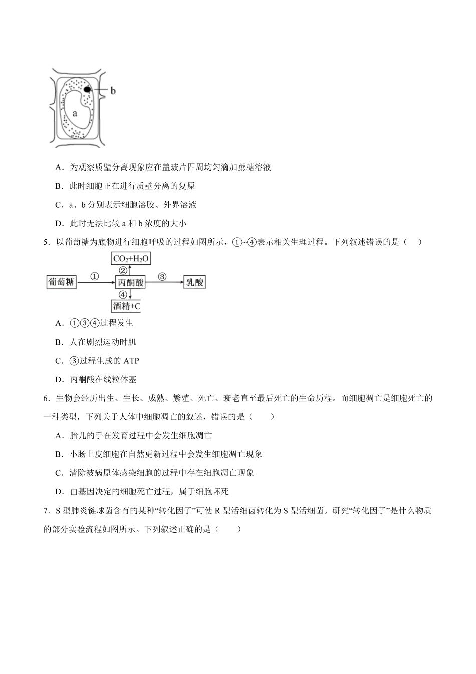 生物_湖南湘潭市第一中学2026-2027学年高二上学期9月开学检测_试卷+答案.pdf_第2页