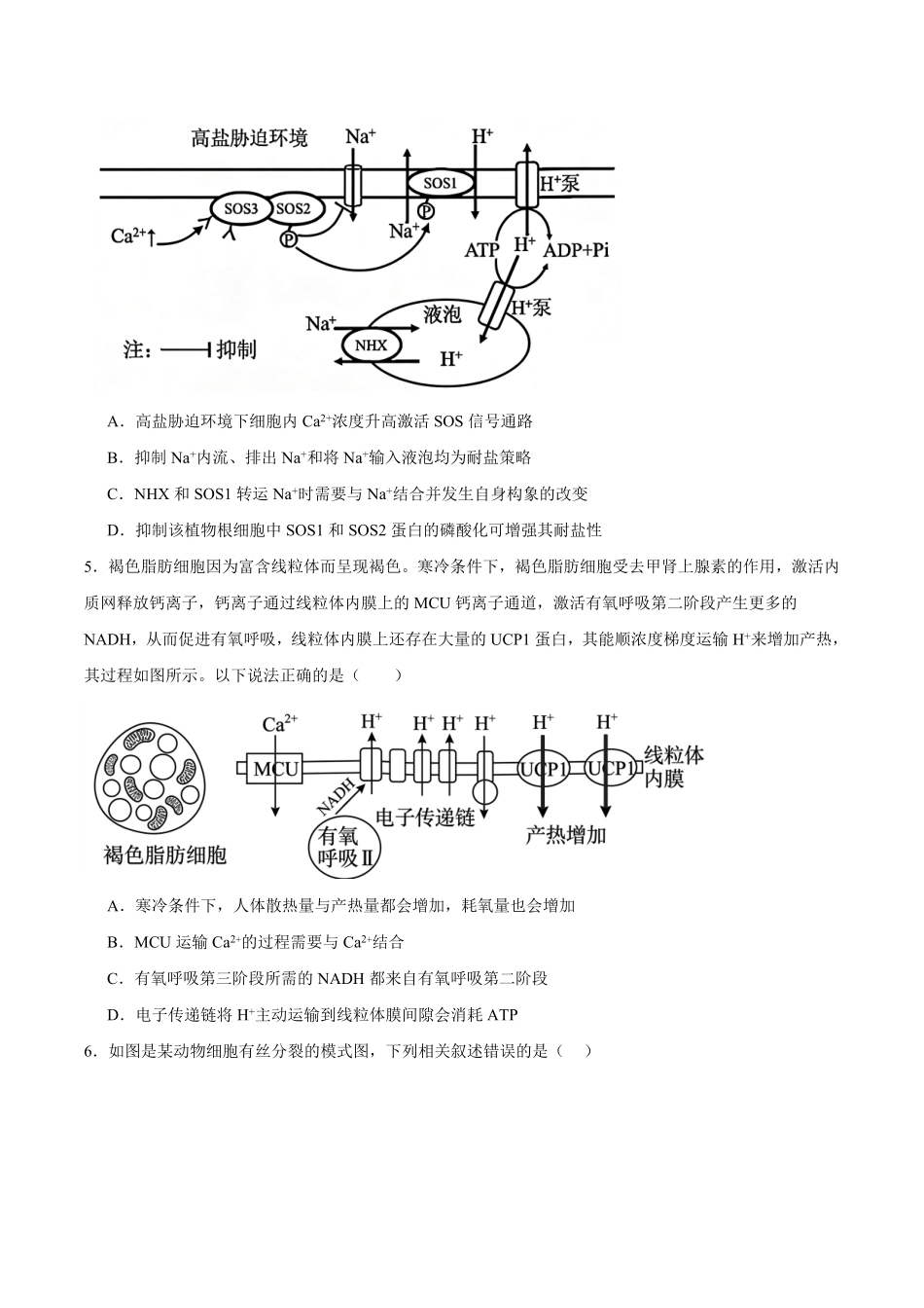 生物_湖南长沙市岳麓实验中学2026-2027学年高二上学期开学考试_试卷+答案.pdf_第2页