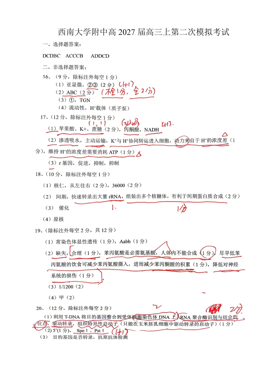 生物【全国Top50强校】重庆市西南大学附中高2027届高三年级第二次模拟考试(9.29-9.30)(1).pdf_第1页