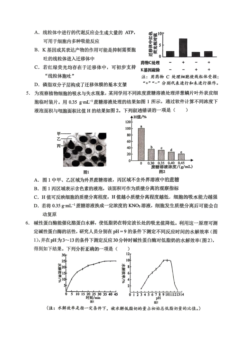 生物【全国Top50强校】重庆市西南大学附中高2027届高三年级第二次模拟考试(9.29-9.30).pdf_第2页