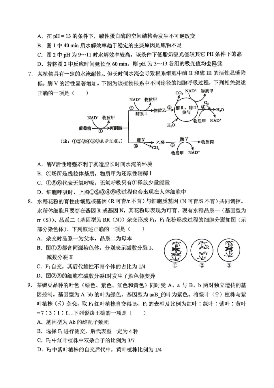 生物【全国Top50强校】重庆市西南大学附中高2027届高三年级第二次模拟考试(9.29-9.30).pdf_第3页