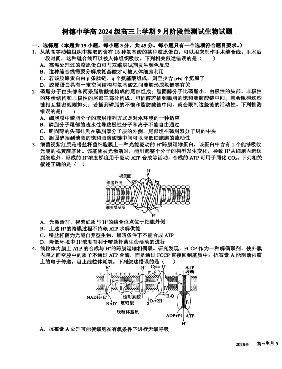 生物+答案四川成都市树德中学(九校)高2024级(2027届)高三年级上学期9月阶段性测试(9.23-9.24).pdf_第1页