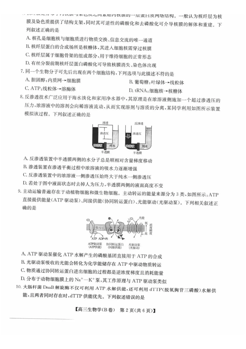 生物安徽县中联盟2026-2027学年高三年级上学期9月联考(9.28-9.29).pdf_第2页