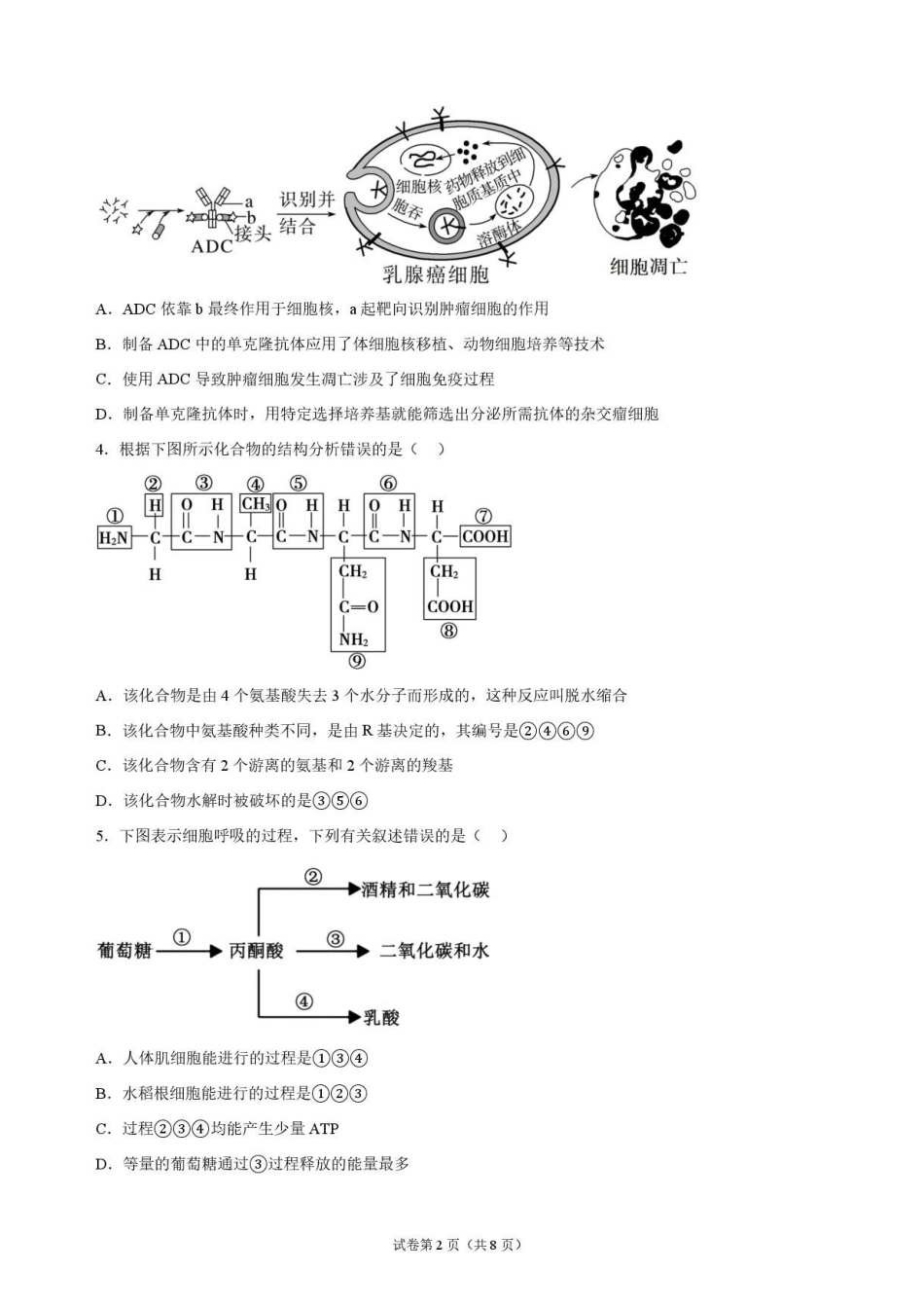 生物甘肃靖远县第一中学2026-2027学年高三上学期9月月考(9月中旬).pdf_第2页