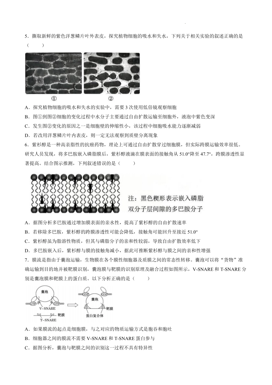 生物河南信阳市五校协作体2027届高三年级上学期10月联合质量监测(9.28-9.29).pdf_第2页