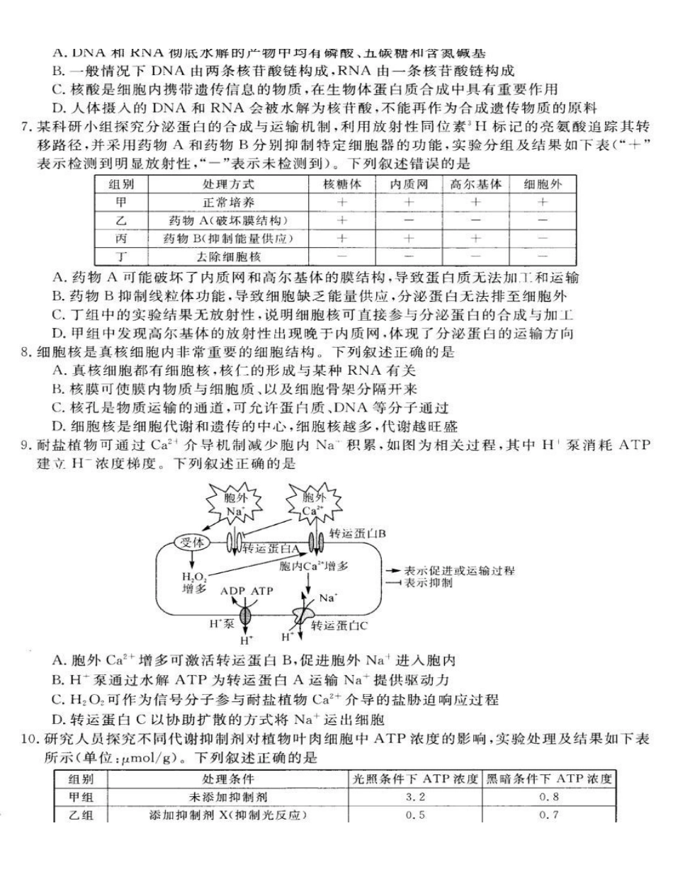 生物山西部分学校(百校联考)2027届高三年级9月联考(下标7022C)(9.28-9.29).pdf_第2页