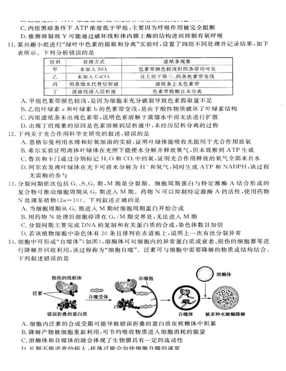 生物山西部分学校(百校联考)2027届高三年级9月联考(下标7022C)(9.28-9.29).pdf_第3页